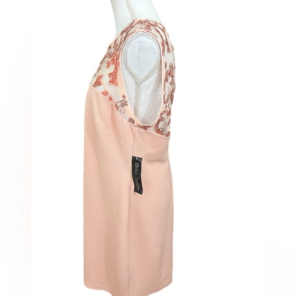 Blu Sage Womens Dusty Rose Dress Size 16P Sequin Upper Sleeveless Open Back - Picture 3 of 5